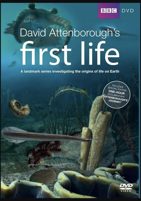 David Attenborough&rsquo;s First Life poster